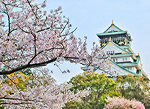 博鱼电竞-国足vs申花首发:谭龙艾克森领衔锋线 申花最强阵
